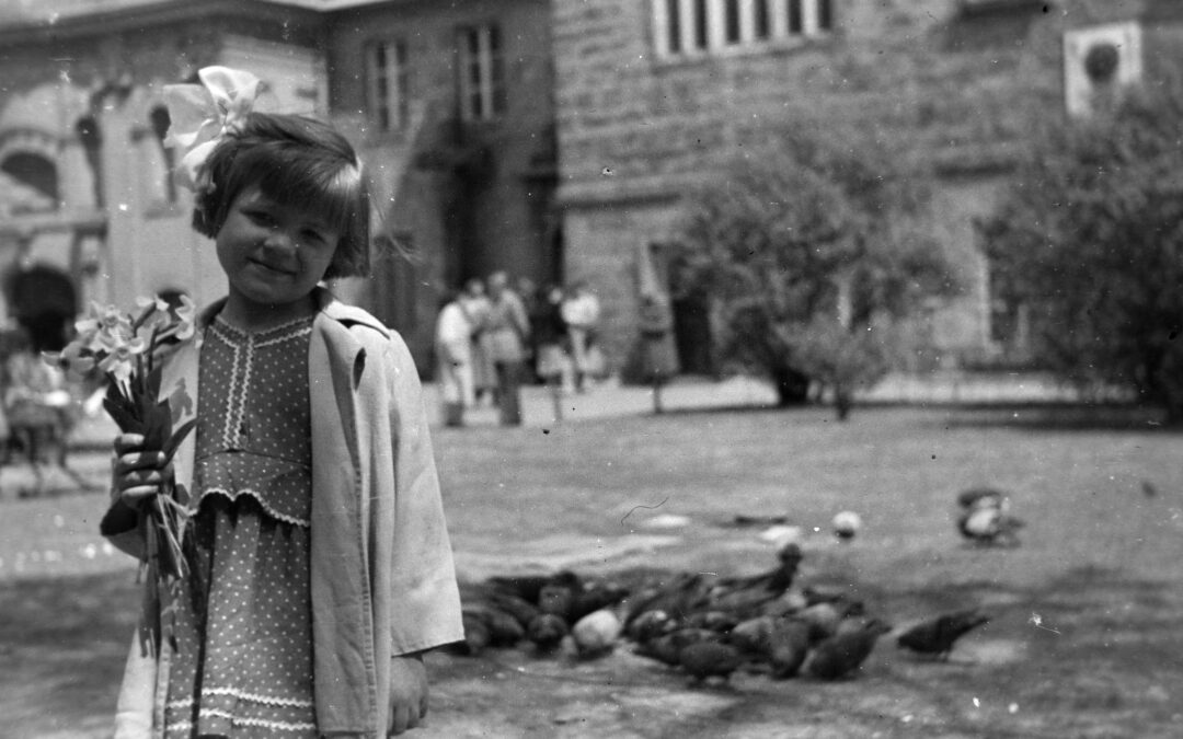 Mackó urat kidobják