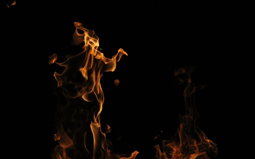 A mindent elnyelő nádas