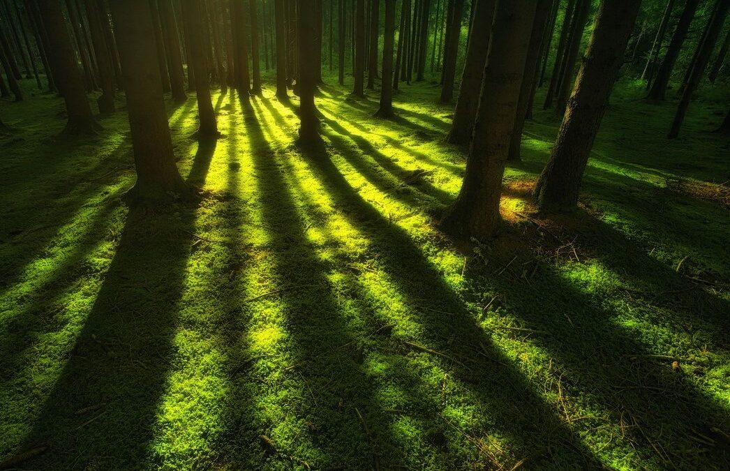 Beleérző hűvösség