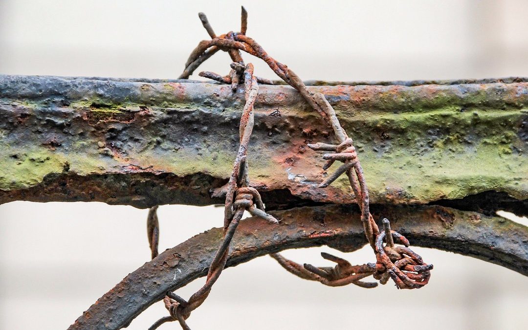 Nyersmagyar határszél