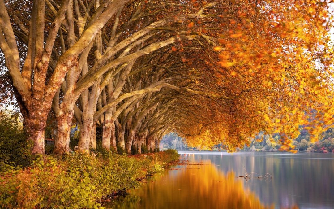 Nélkülük nincs semmi