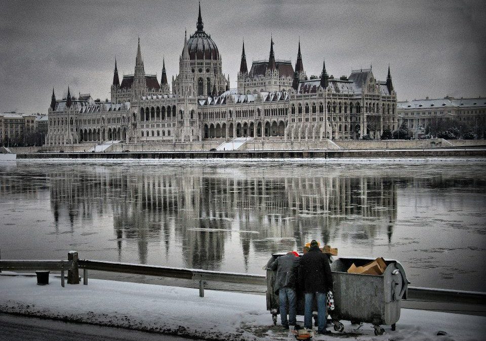 Ízfokozók nélkül