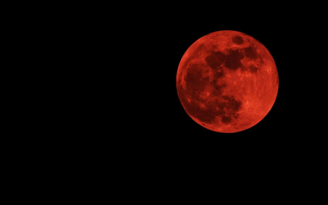 Drakula: szex és vér