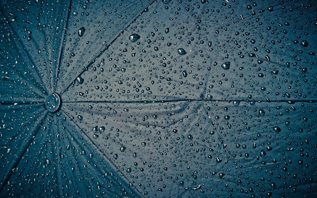 Tanulom az irodalmat