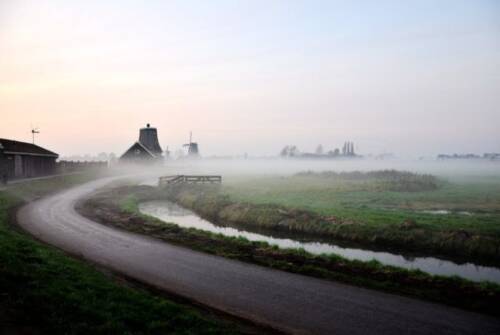 Lúzerek kezeslábasban