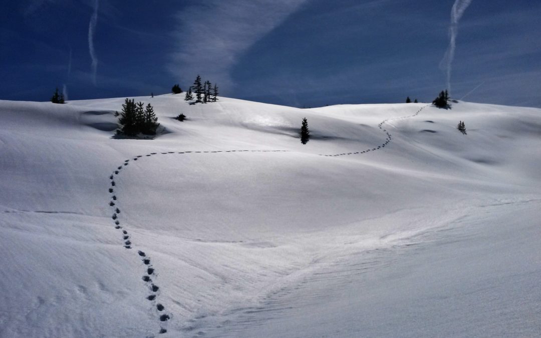 Láthatatlan asszonyok