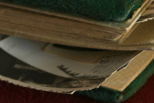 Megkövült pillanatok