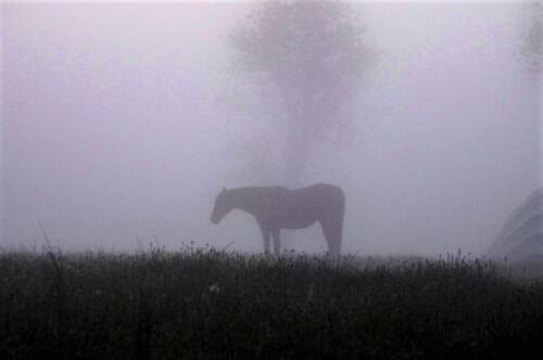 Az őrület hordaléka