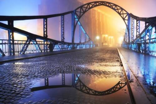 Szex, gomba, rakendroll