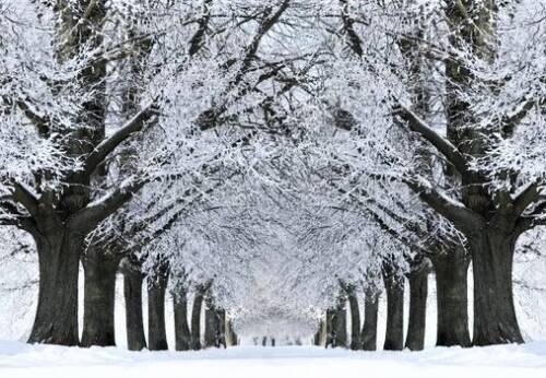 Új karácsonyi ének