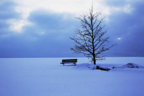 Boldogság fogságban